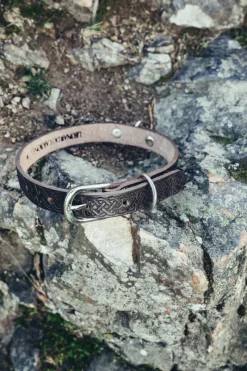 Best Sale Leonardo Carbone Hundehalsband "Maddox" mit keltischer Punzierung Dunkelbraun