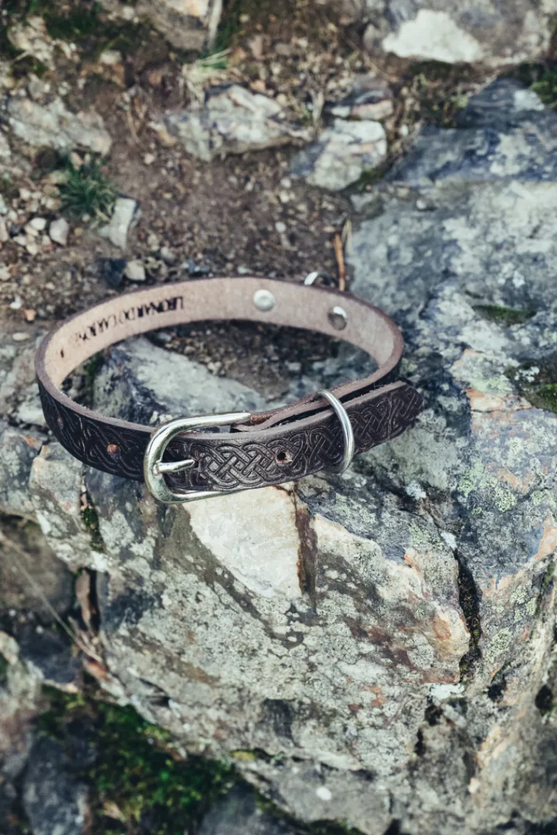 Best Sale Leonardo Carbone Hundehalsband "Maddox" mit keltischer Punzierung Dunkelbraun