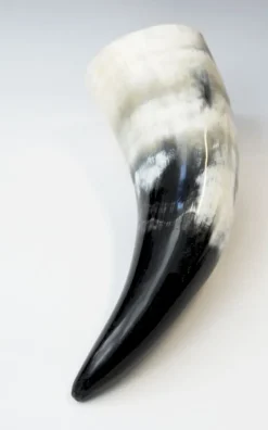 Sale Leonardo Carbone Wikinger Trinkhorn 