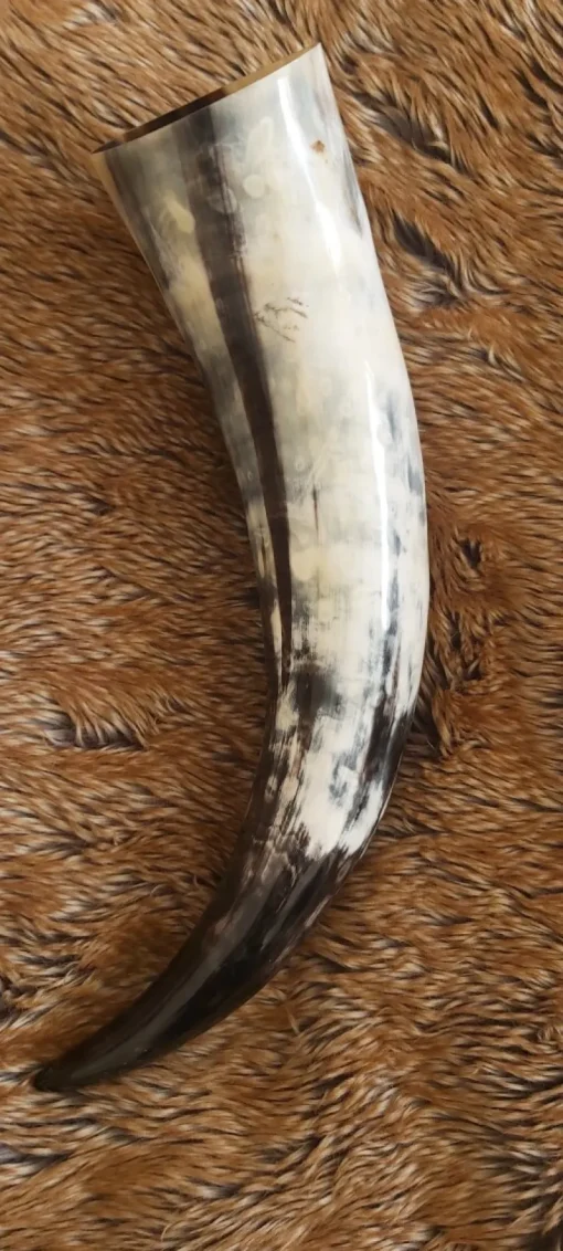 Best Sale Leonardo Carbone Wikinger Trinkhorn "Odin" - ca. Fassungsvermögen 0,2 Liter