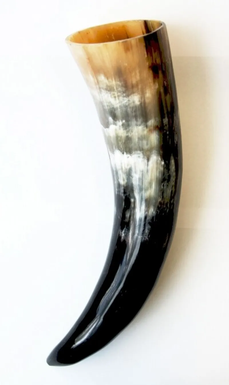 Cheap Leonardo Carbone Wikinger Trinkhorn "Odin" - ca. Fassungsvermögen 0,3 Liter