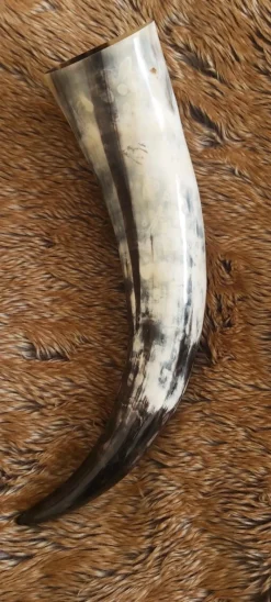 Cheap Leonardo Carbone Wikinger Trinkhorn "Odin" - ca. Fassungsvermögen 1,5 Liter