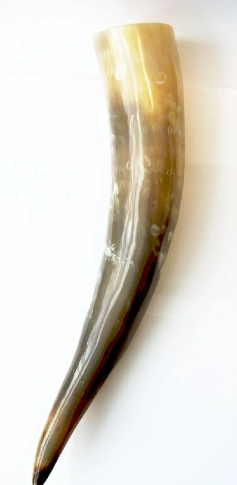 Cheap Leonardo Carbone Wikinger Trinkhorn "Odin" - ca. Fassungsvermögen 0,5 Liter